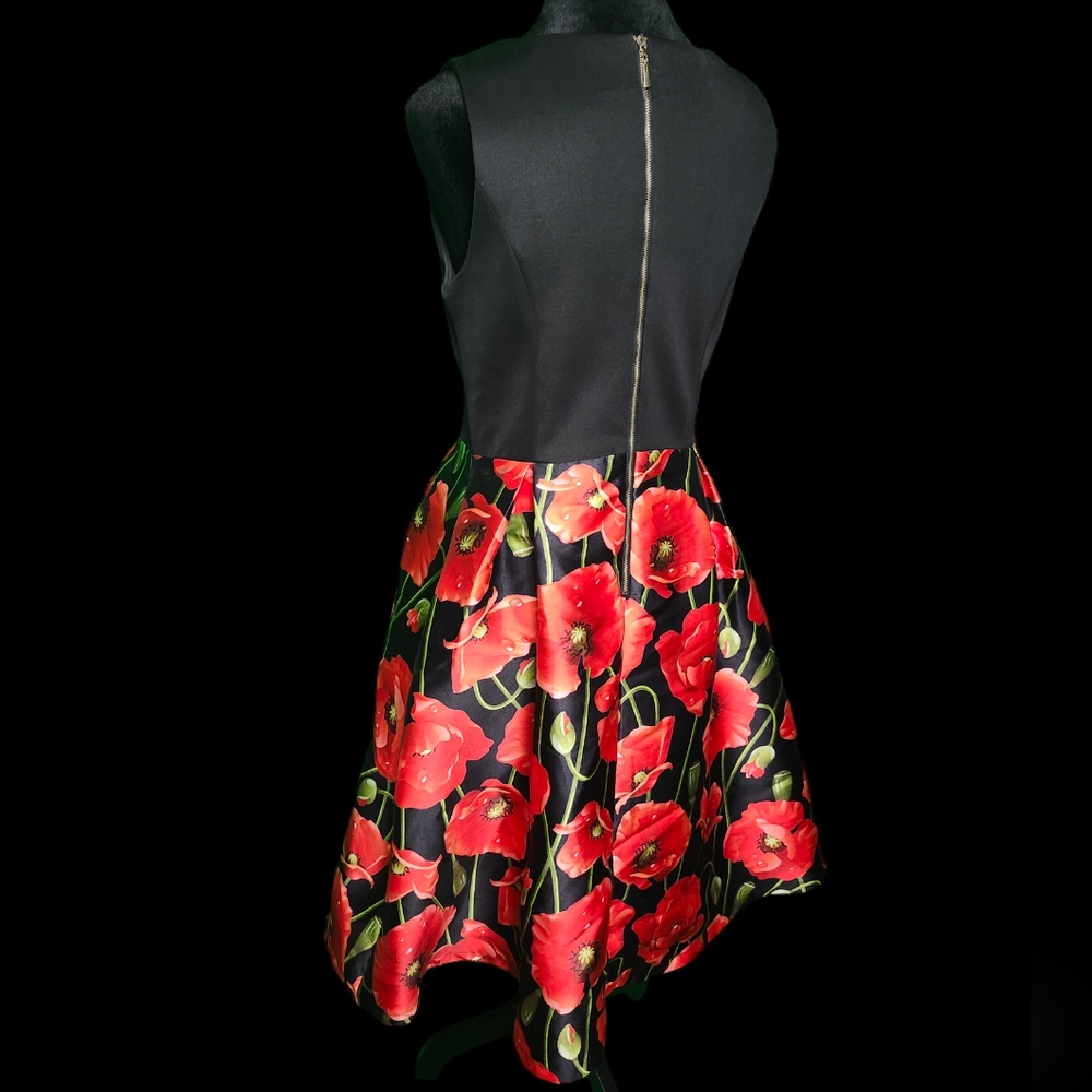 Poppy Dress - Picture 2 of 3